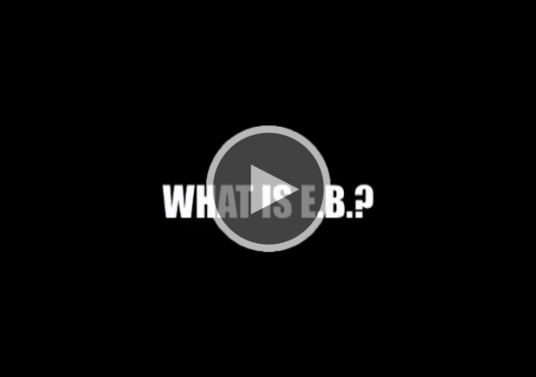 Screenshot of "What is EB?" (Part I)