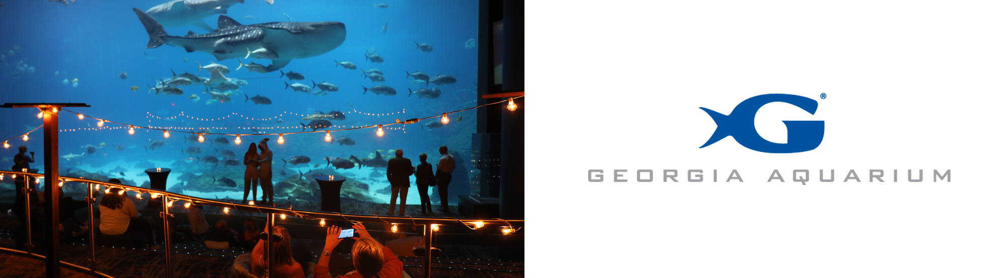Georgia Aquarium Photos