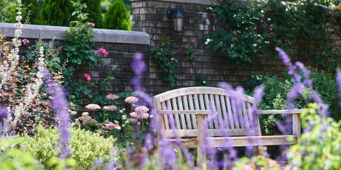 Park Bench