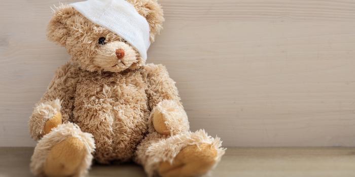 Teddy Bear