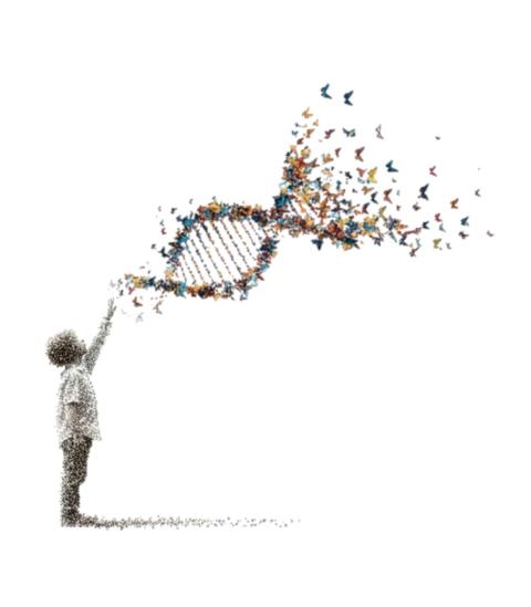 debra of America Brand Refresh