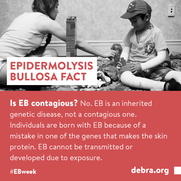 EB Fact 3