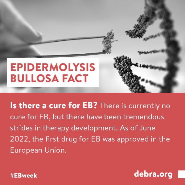 EB Fact 4